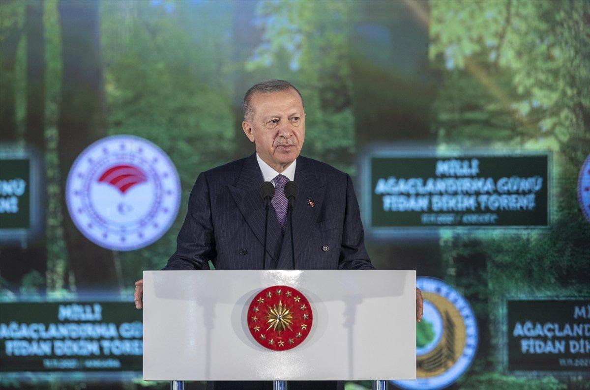 Cumhurbaşkanı Erdoğan, Fidan Dikim Töreni'nde konuştu