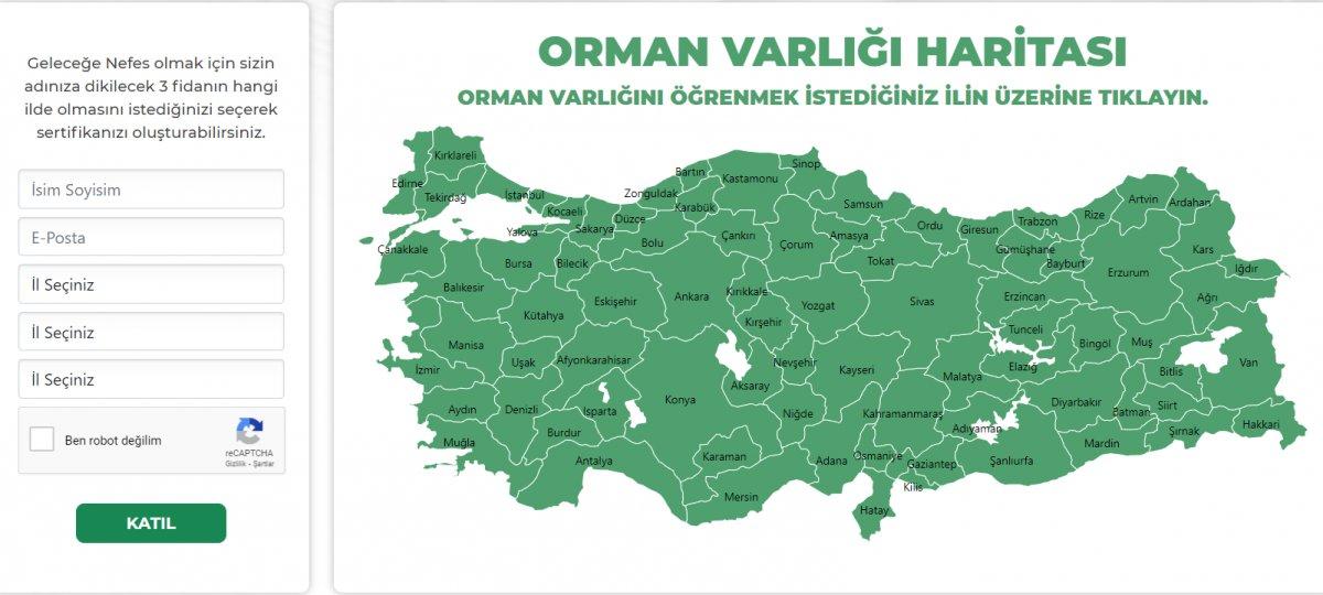 11 Kasım Milli Ağaçlandırma Günü: Ücretsiz 3 fidan bağışı nasıl yapılır?