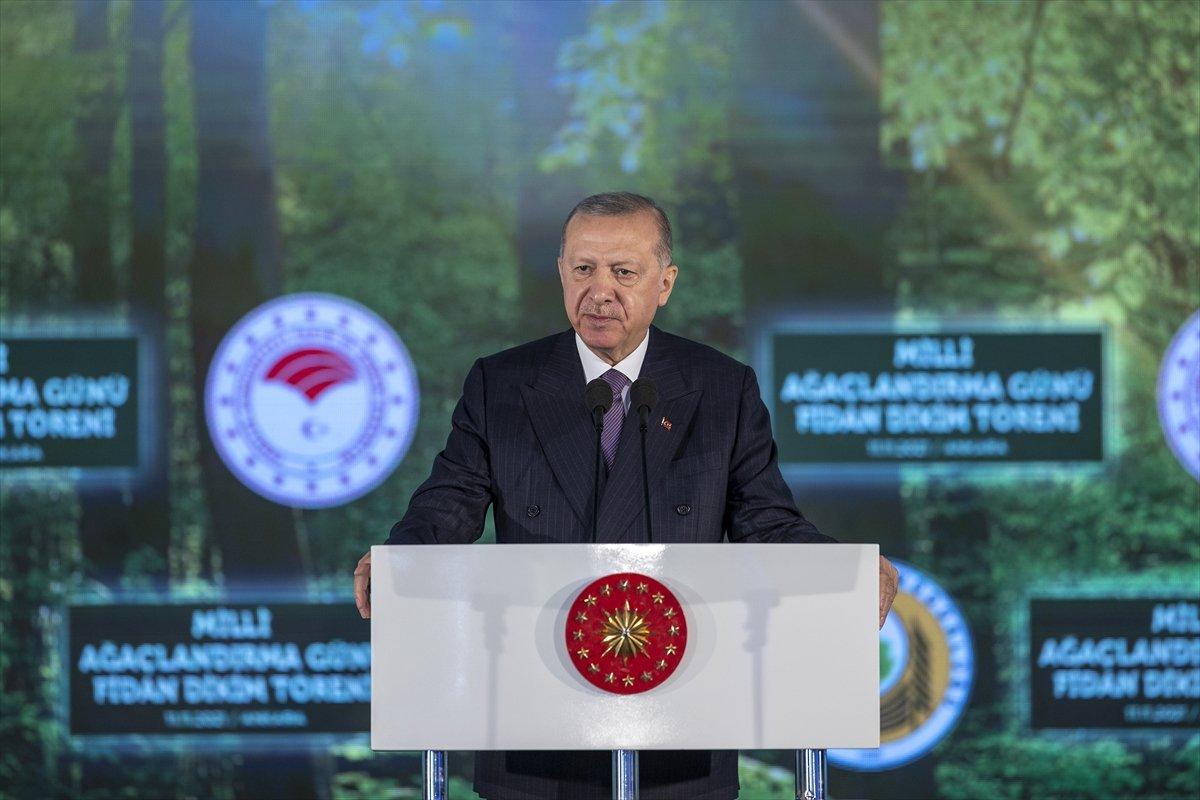 Cumhurbaşkanı Erdoğan, Fidan Dikim Töreni'nde konuştu