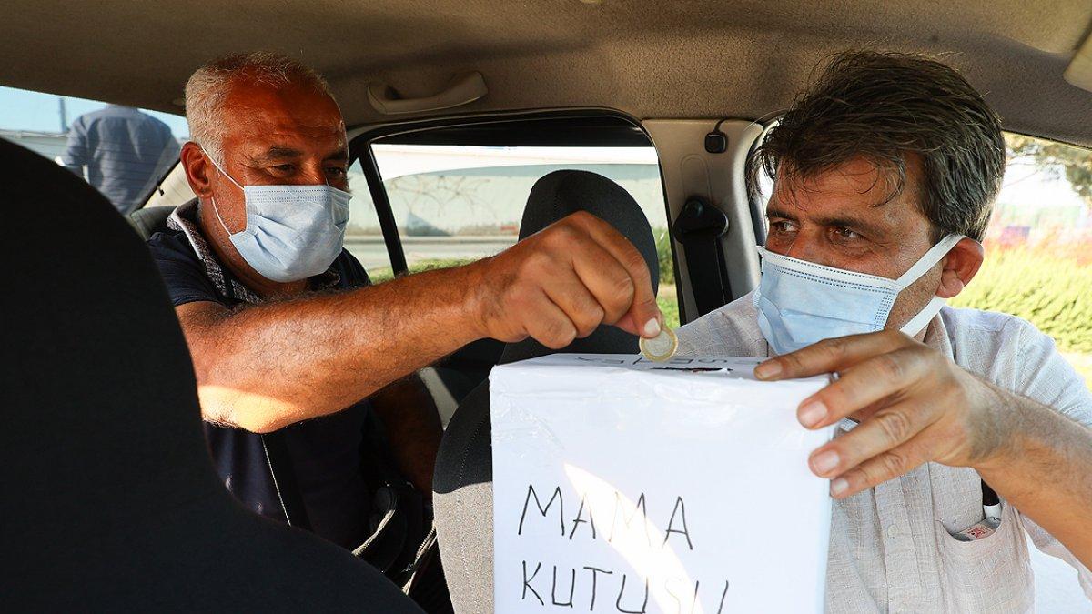 İzmirli taksicinin hayvan sevgisi: Mama kutusunda biriken parayla kedileri besliyor