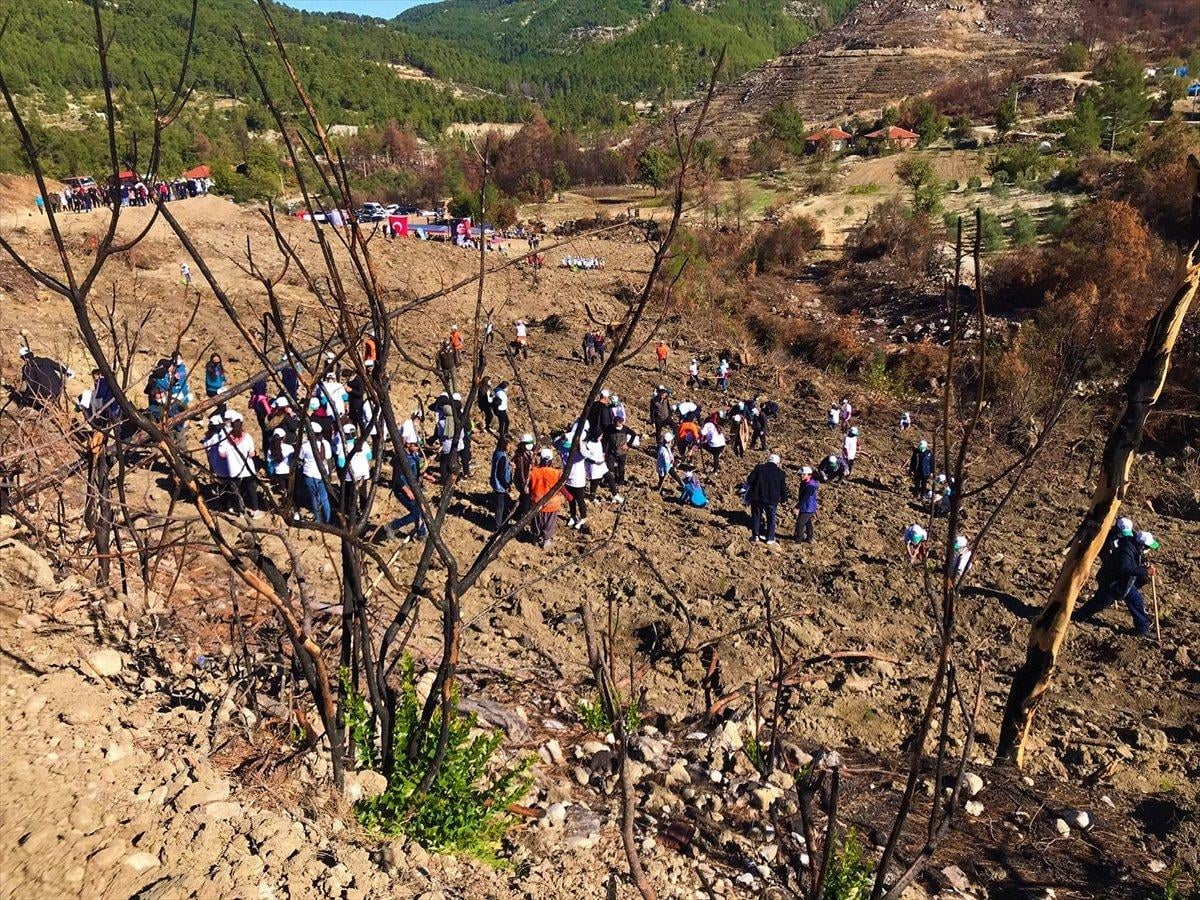Geleceğe Nefes sertifikasına, e-Devlet üzerinden ulaşılabiliyor