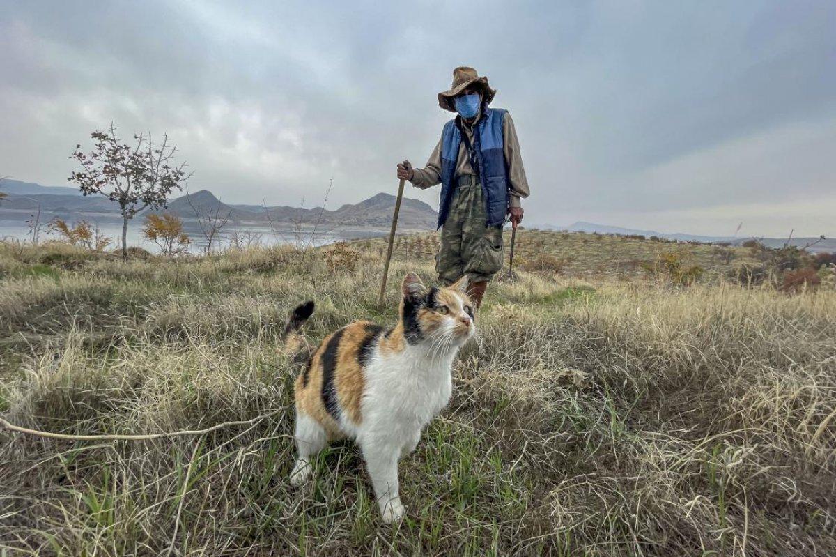 Tuncelili Robinson Ziya: Kuraklık ve erozyona karşı fidan dikin