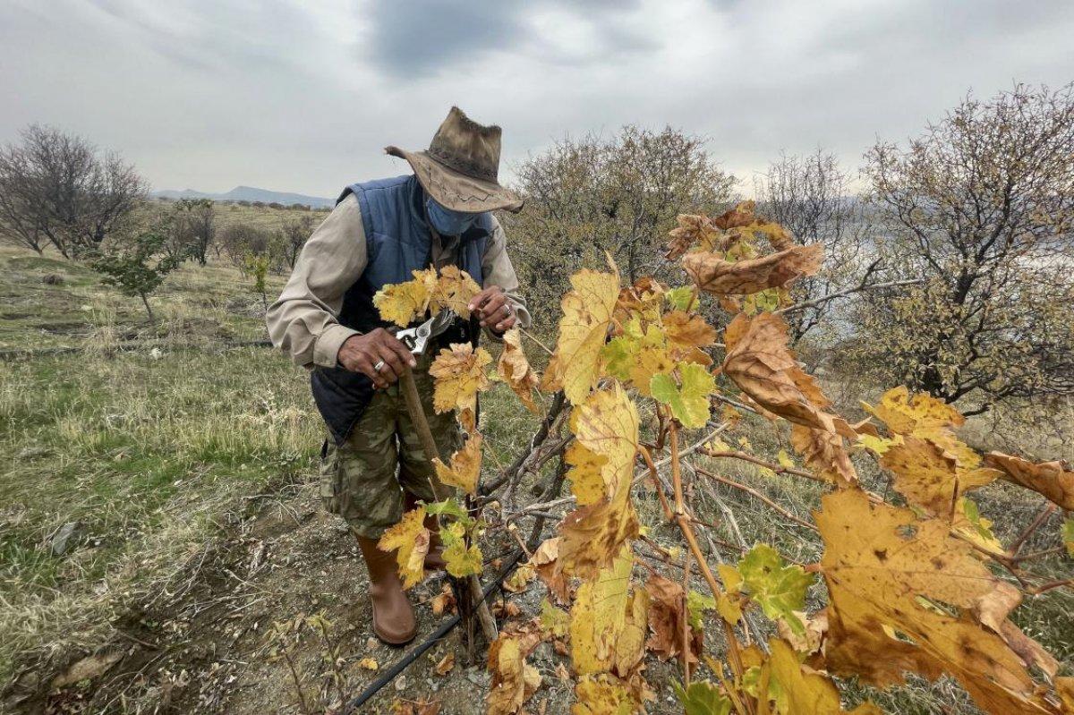 Tuncelili Robinson Ziya: Kuraklık ve erozyona karşı fidan dikin