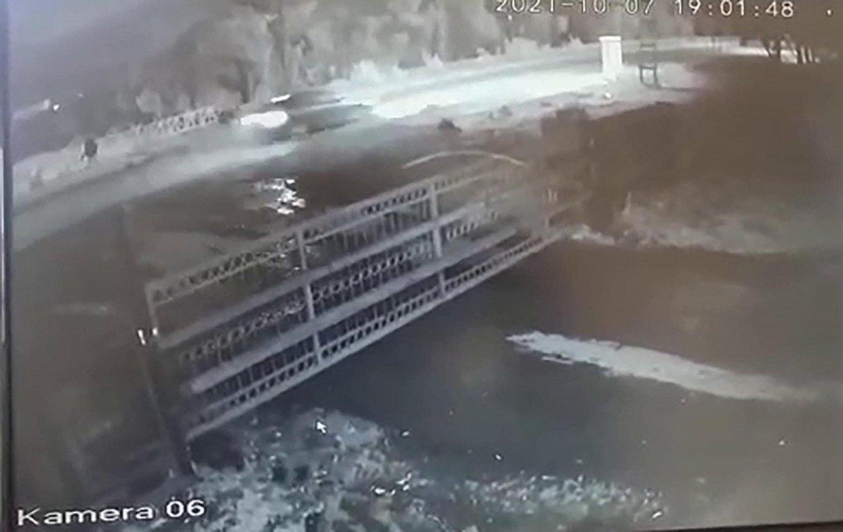 Kars'ta sokak hayvanlarına çarpan 3 sürücüye 1500'er TL ceza