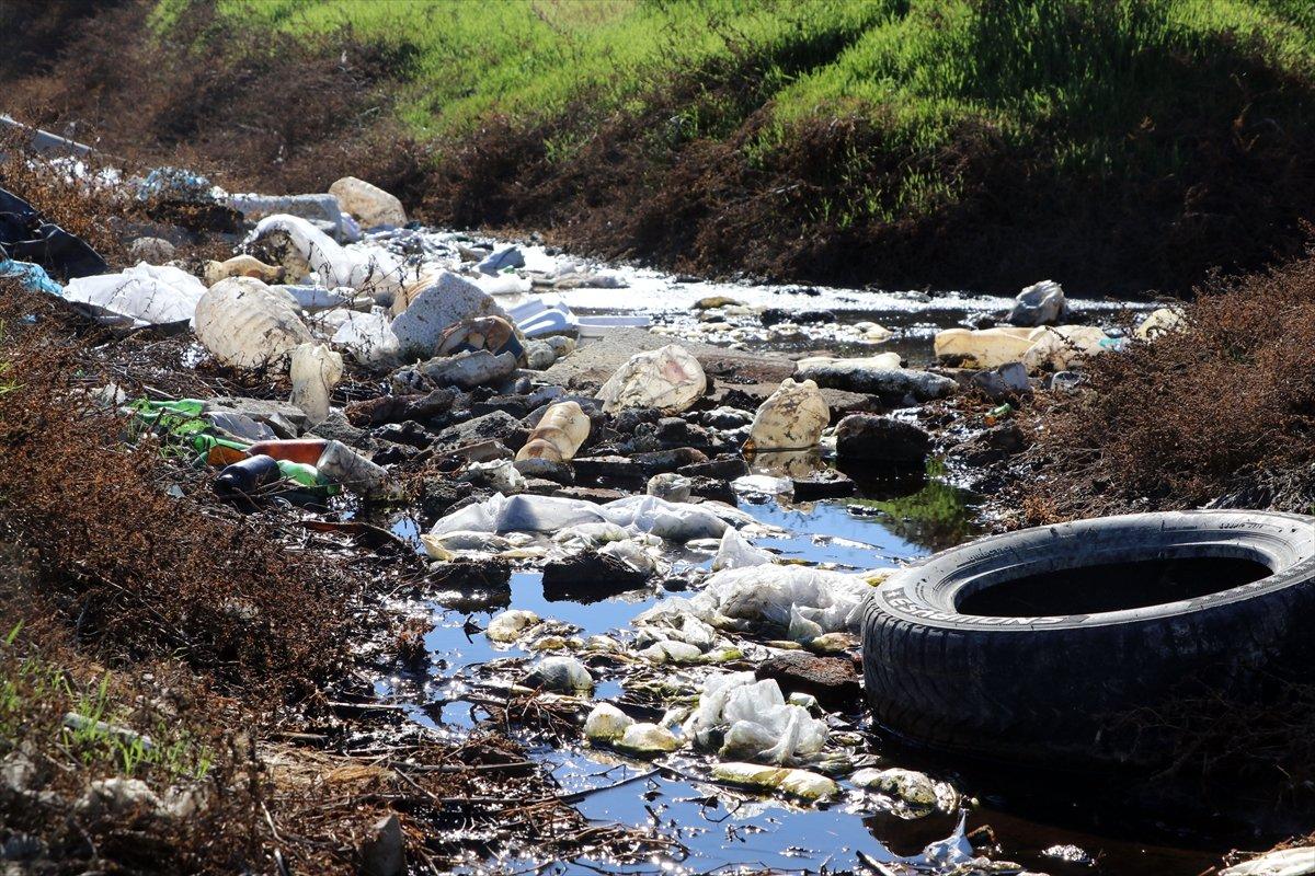 Edirneliler, Tunca Nehri'ndeki kirliliğe çözüm bulunmasını istedi