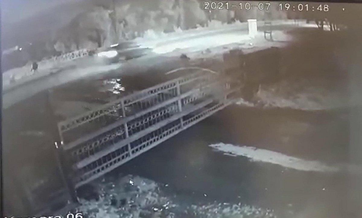 Kars'ta sokak hayvanlarına çarpan 3 sürücüye 1500'er TL ceza