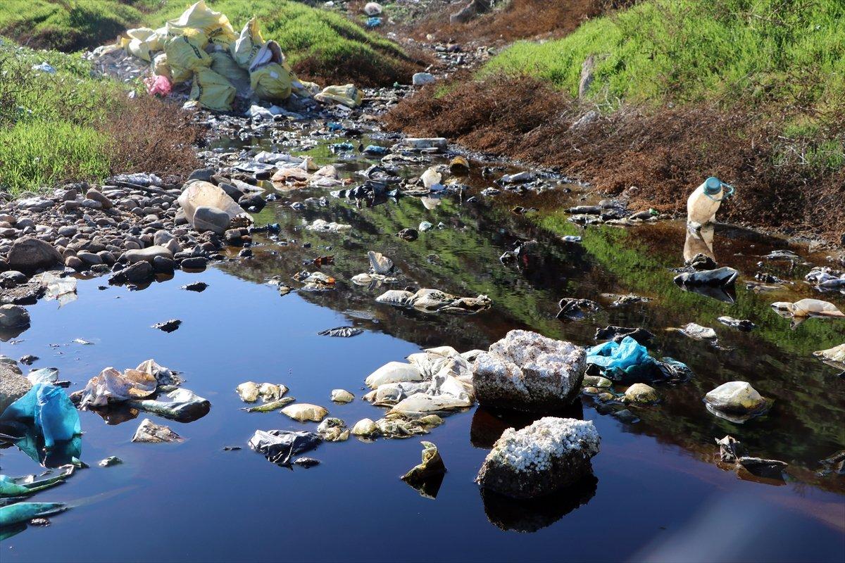 Edirneliler, Tunca Nehri'ndeki kirliliğe çözüm bulunmasını istedi
