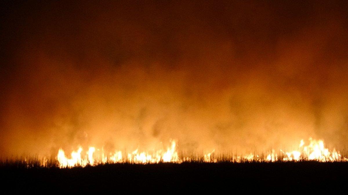 Hakkari’de, Nehil Sazlığı’nda 2 günde iki kez yangın çıktı