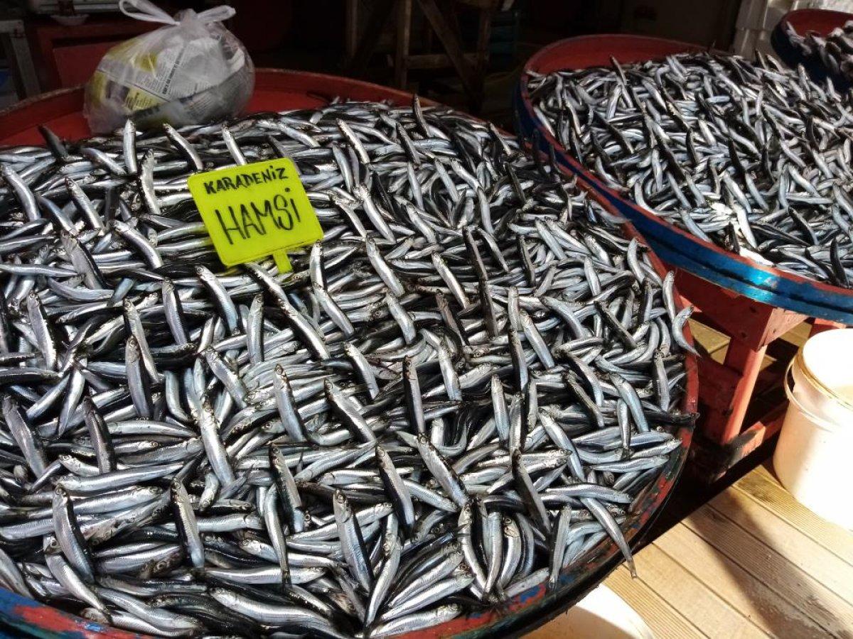 Balıkesir'de yaşanan fırtına balık fiyatlarını ikiye katladı