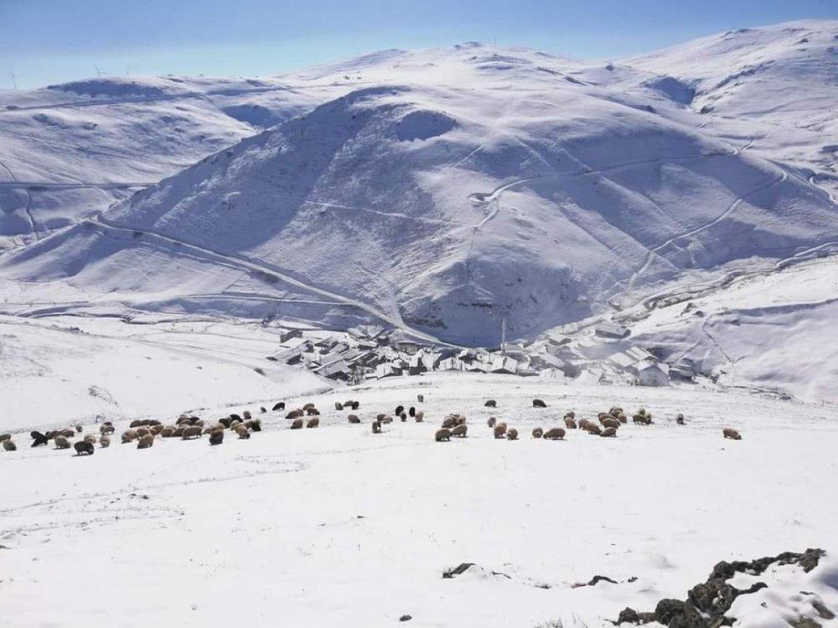 Bayburt - Trabzon sınırındaki köyler beyaza büründü