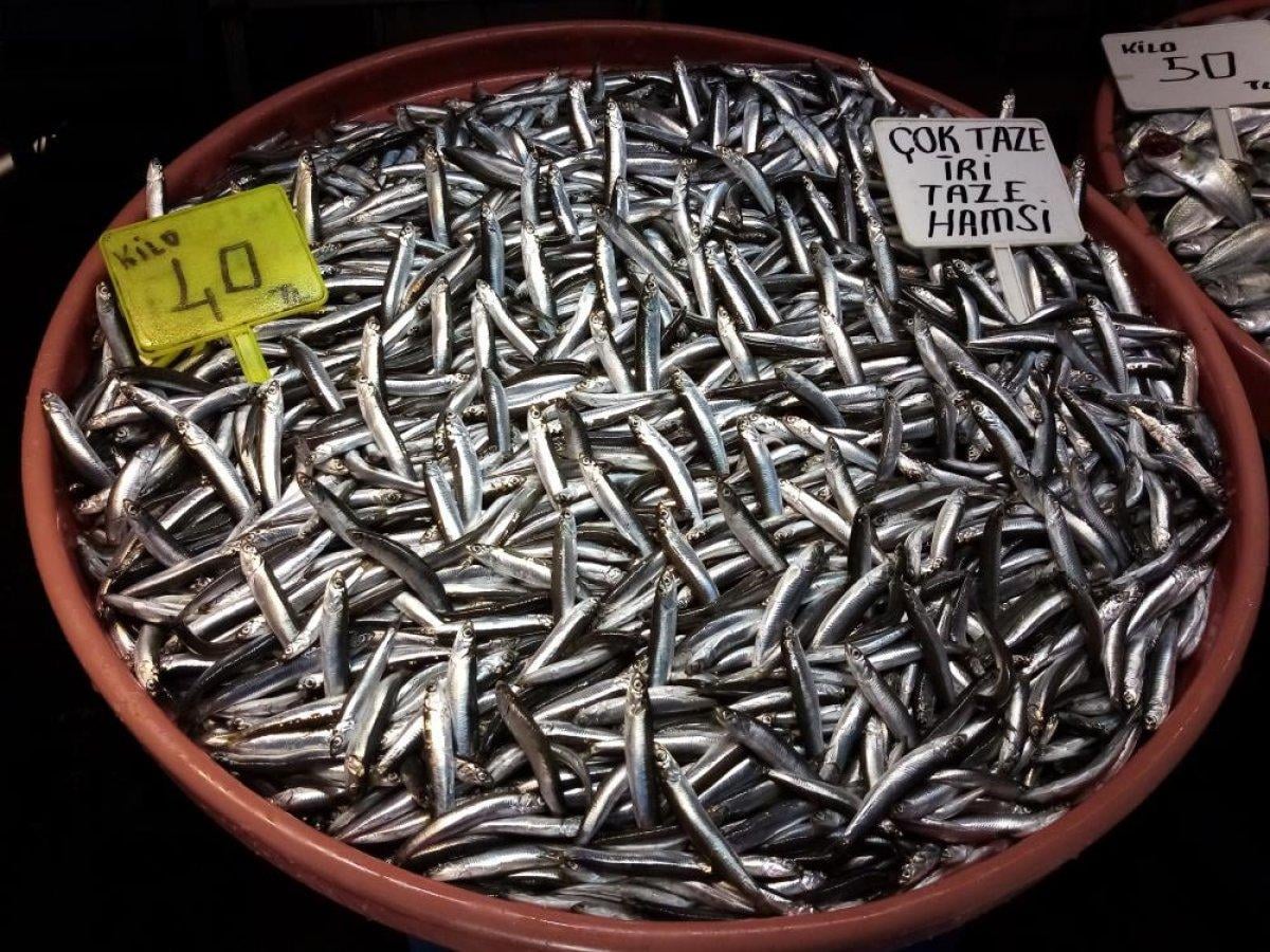 Balıkesir'de yaşanan fırtına balık fiyatlarını ikiye katladı