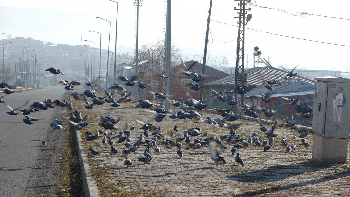 Ardahan'da hava sıcaklığı, eksi 9 dereceyi gördü