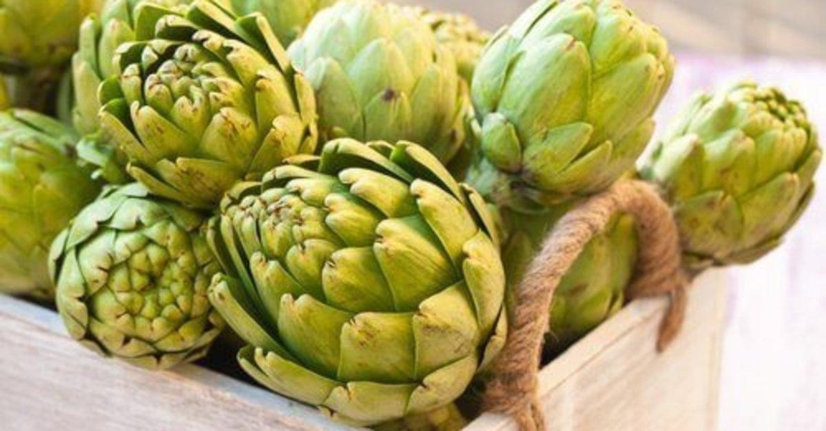 Sakın çöpe atmayın! Enginar yaprağının 7 mucizevi faydası