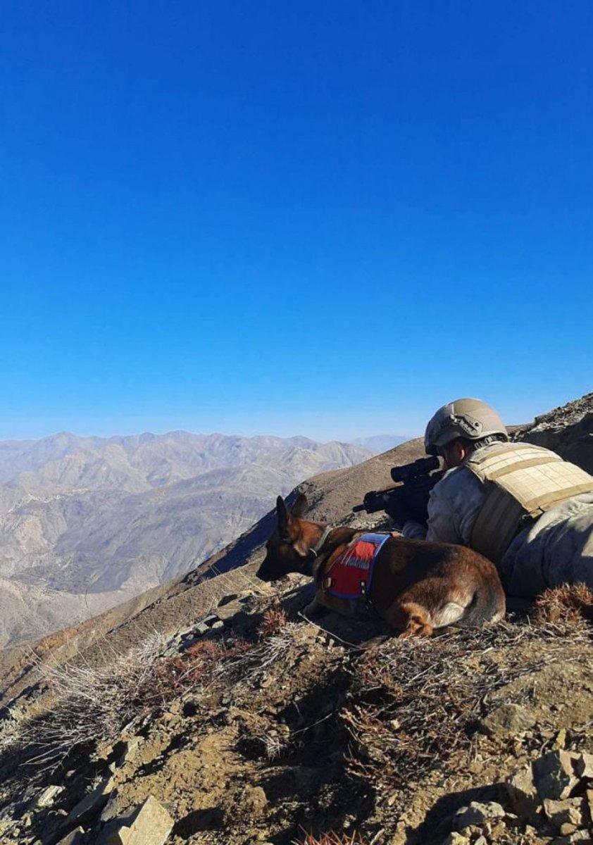 Eren Kış-3 Operasyonu başlatıldı