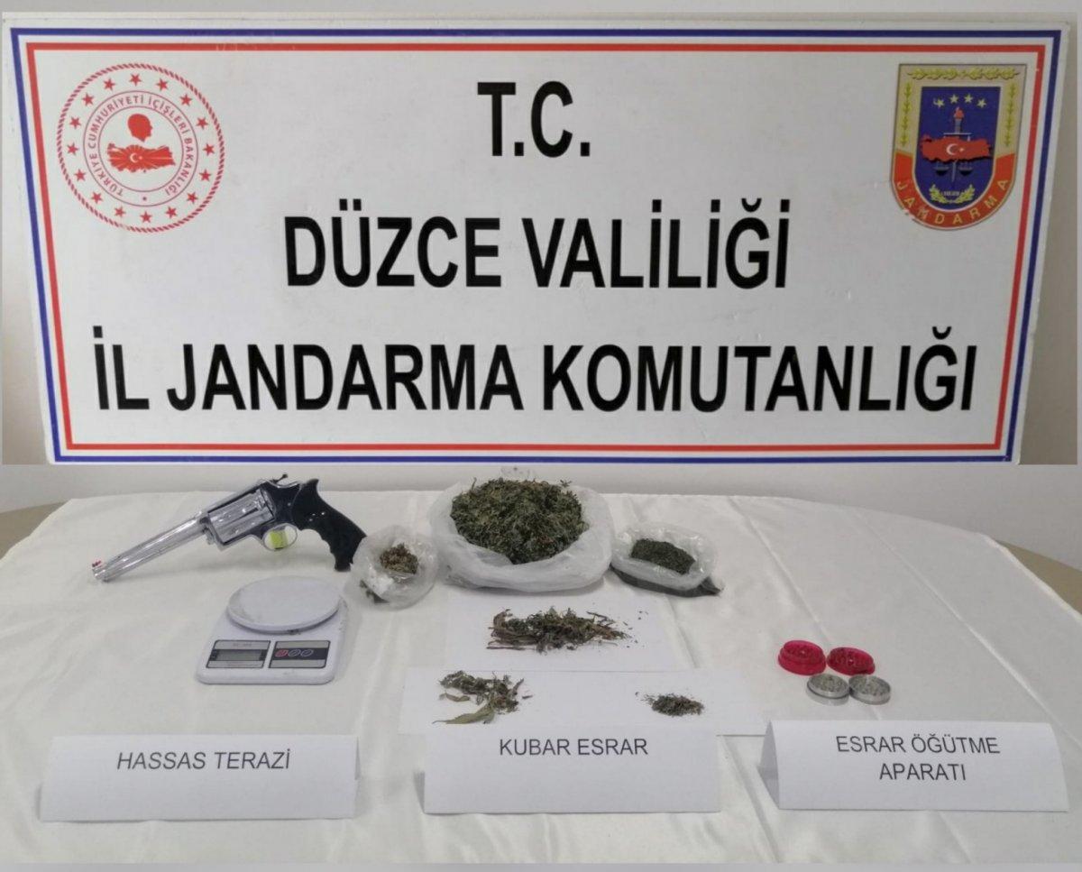Düzce'de çadır içinde uyuşturucu madde yetiştiren kişi yakalandı
