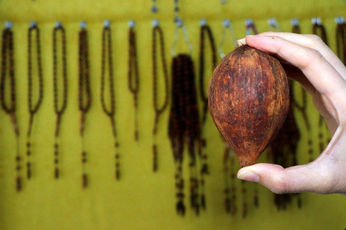 Eldeki mikropları öldürüyor: Kuka tesbihinin özellikleri