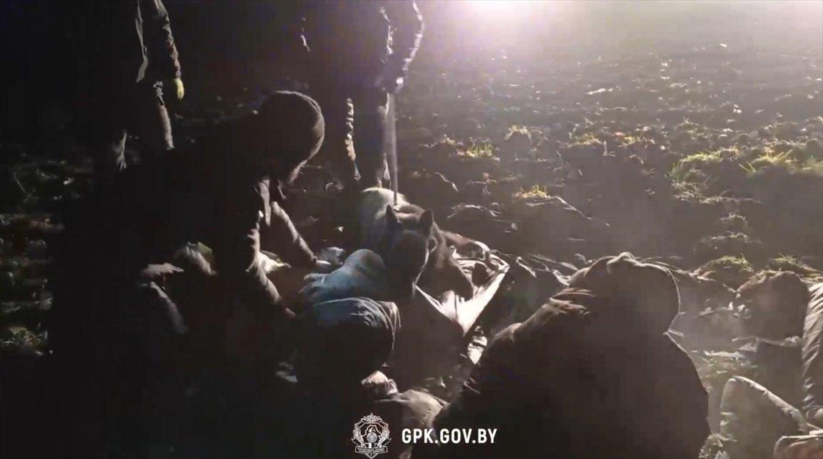 Belarus-Litvanya sınırındaki göçmenlere köpekle müdahale ediliyor