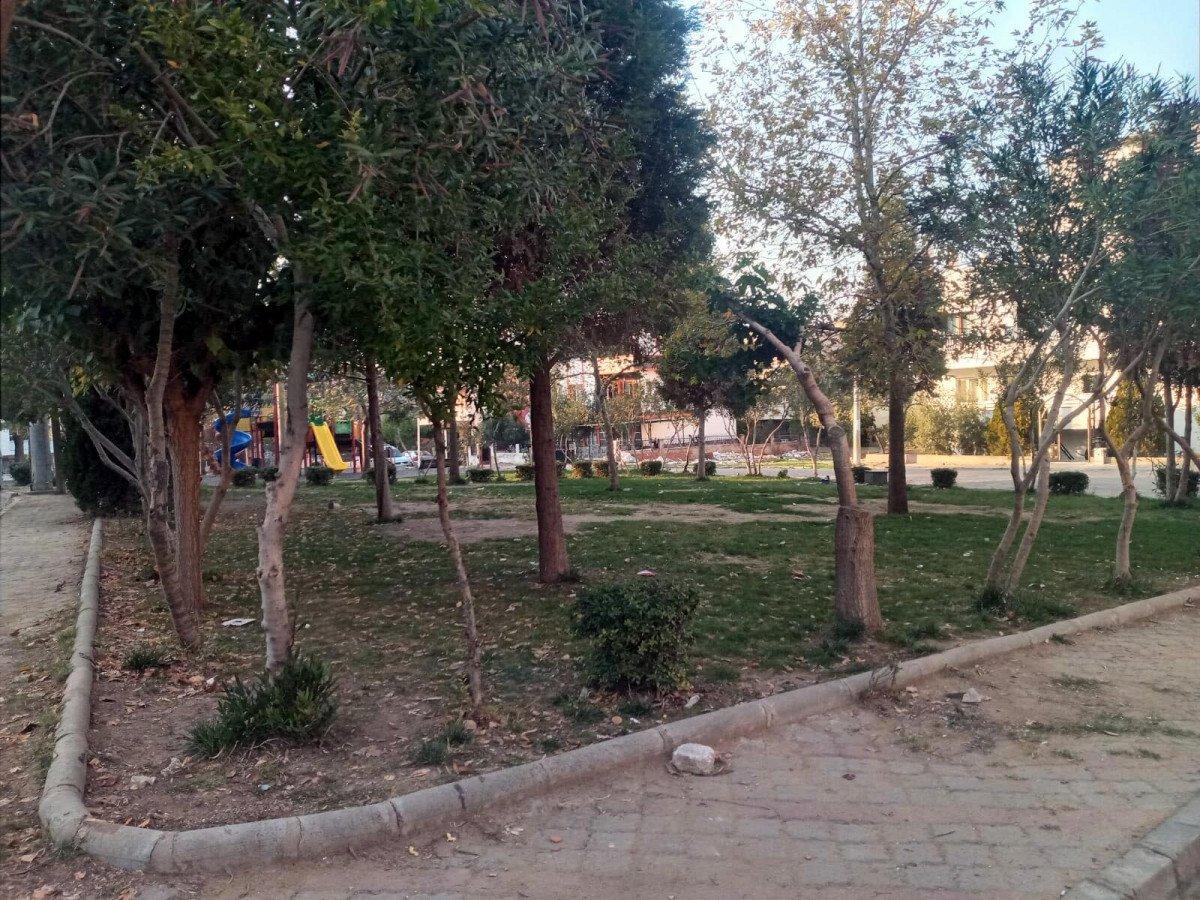 Manisa’da, kediler ayakları kesilmiş olarak ölü bulundu