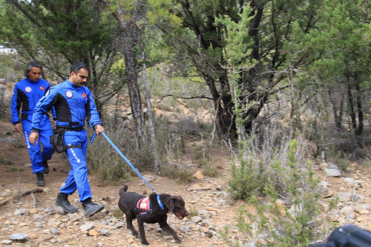 Mersin'de kaybolan 2 buçuk yaşındaki Müslüme, hala aranıyor