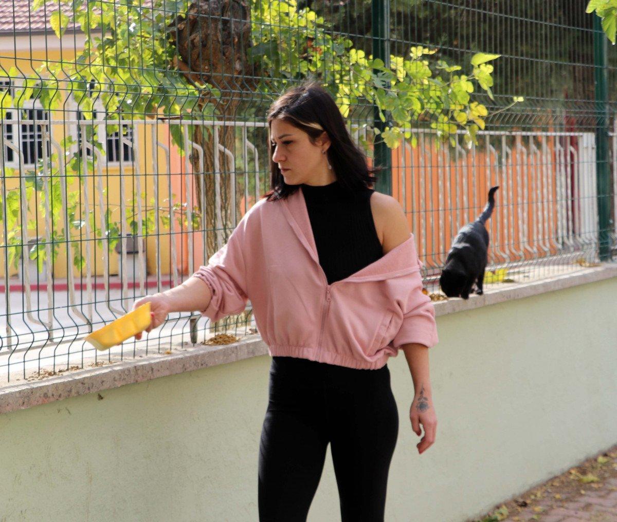 Gaziantep’te, kedileri çuvala koyup götürürken yakalandı