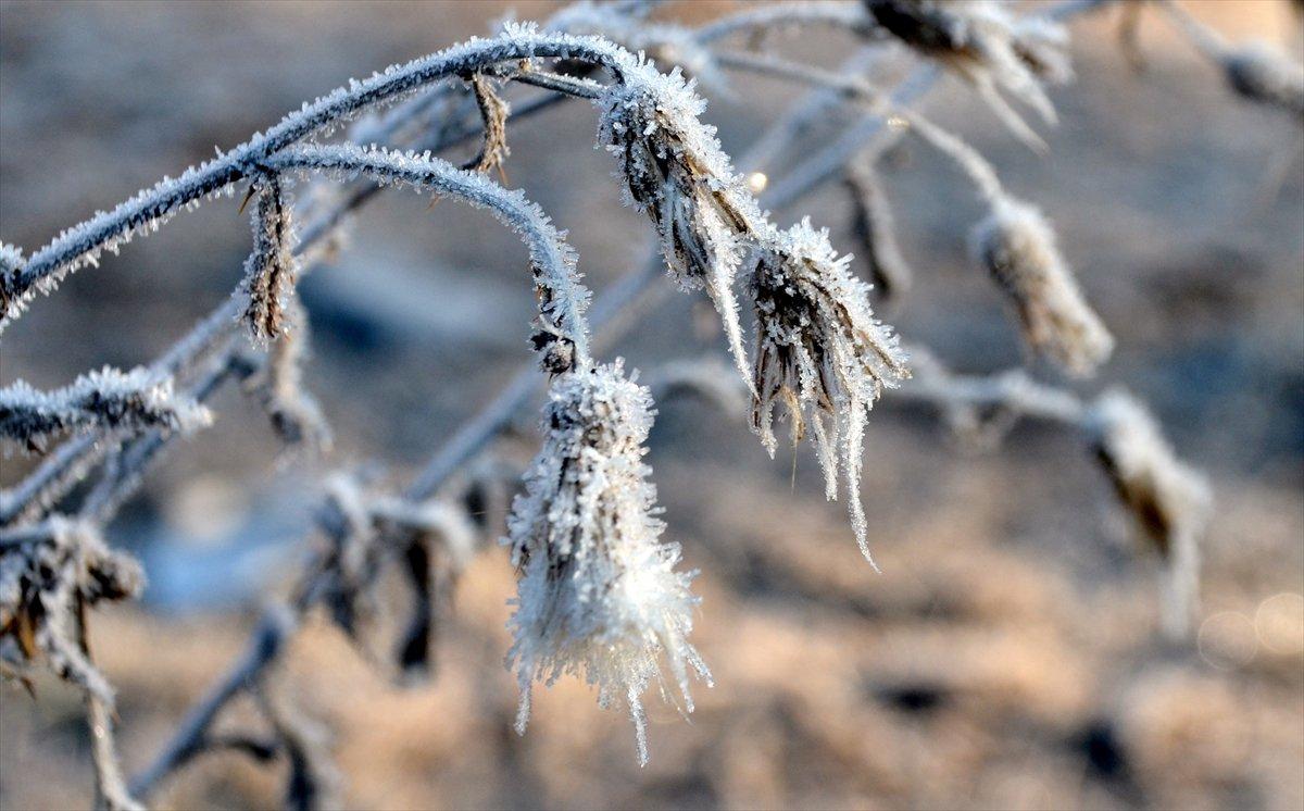 Kars'ta soğuk hava etkili oldu