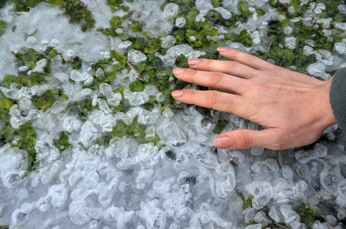 Kars'ta soğuk hava etkili oldu