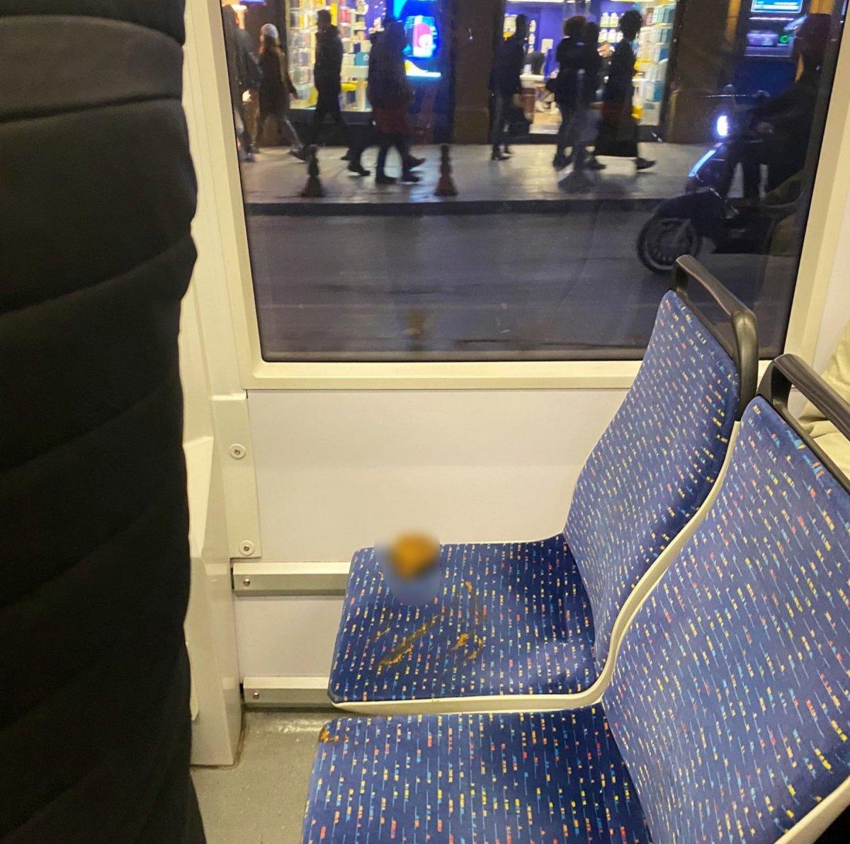 İstanbul'da tramvaydaki dışkının kaynağı ortaya çıktı