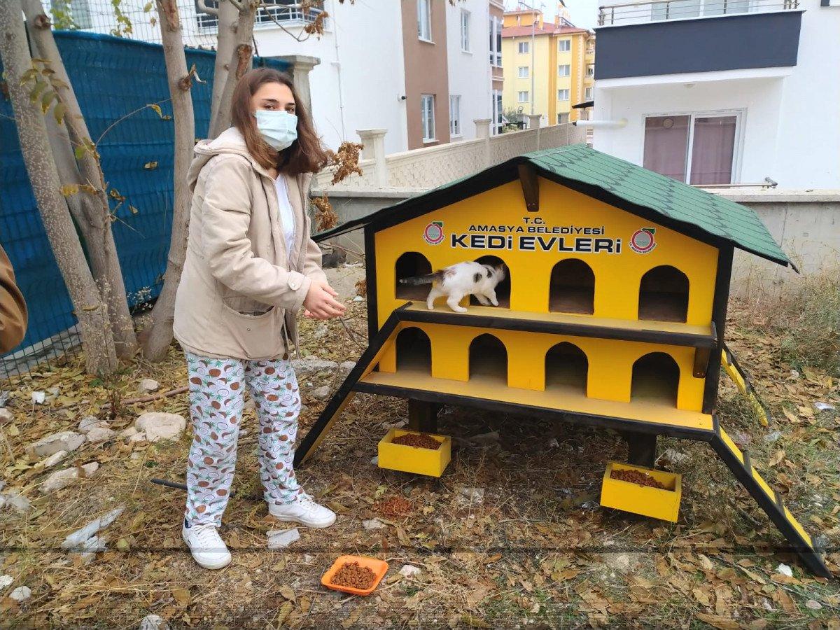 Amasya’da yurttan çarşafla çıkarılan kedileri, belediye sahiplendi