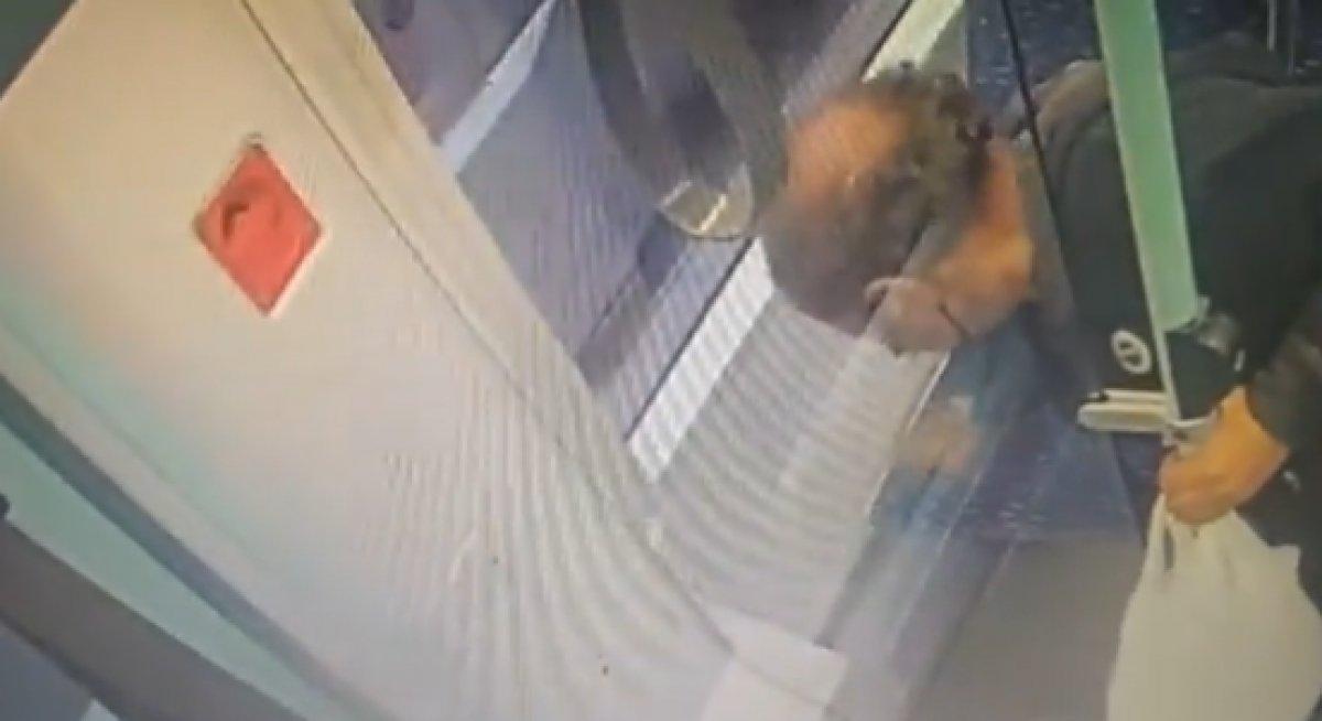 İstanbul'da tramvaydaki dışkının kaynağı ortaya çıktı