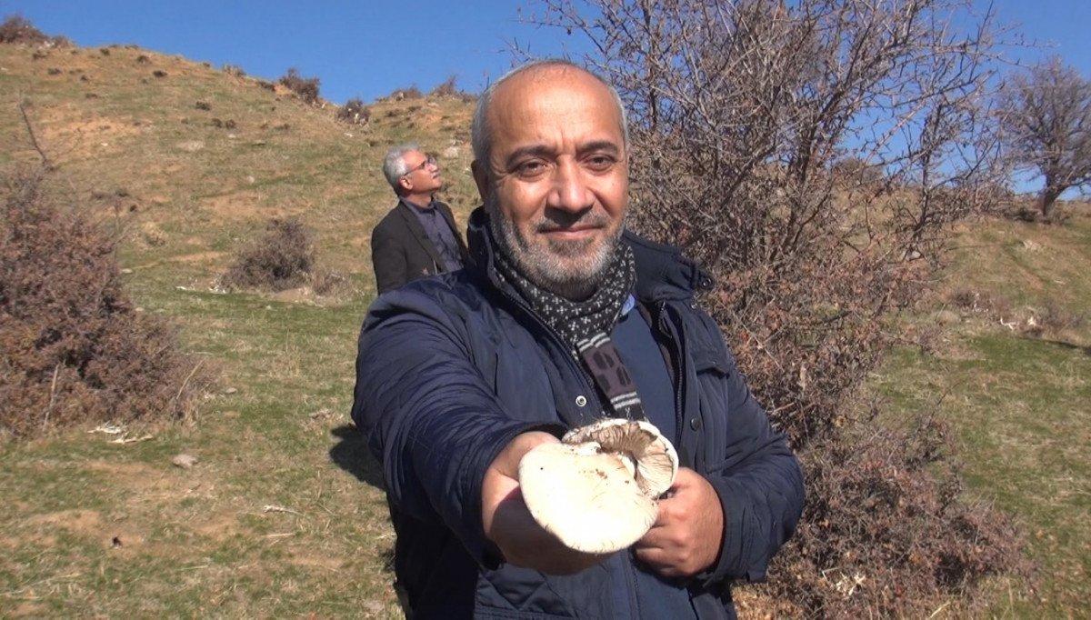 Terörden temizlenen Şenyayla’da öğrenciler, çay içip mantar topladı