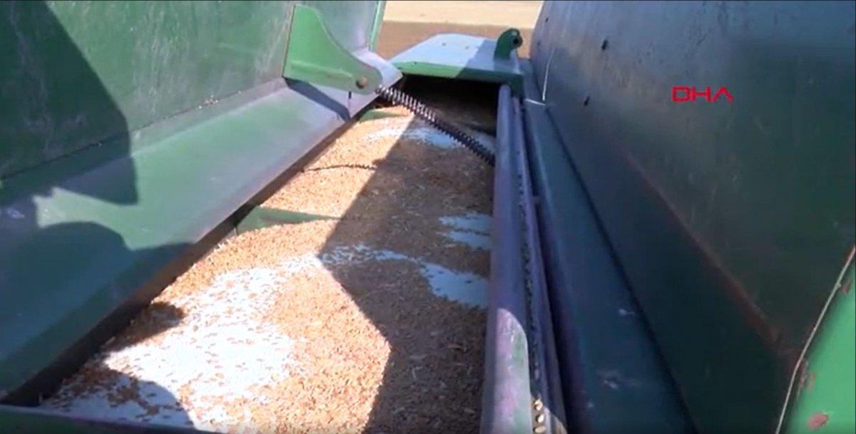 Güneydoğu’da, çiftçiler kuraklıktan endişeli