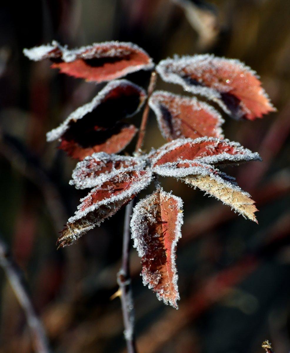 Kars'ta soğuk hava etkili oldu