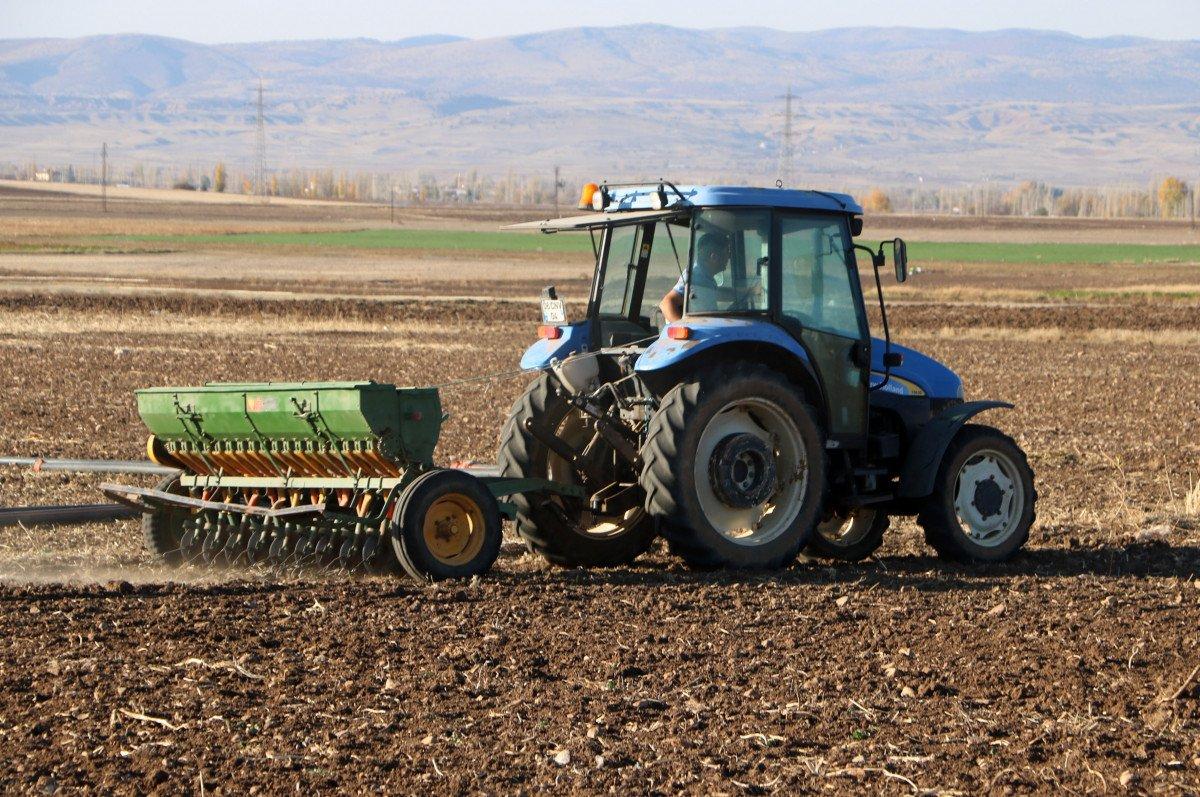 Afyonkarahisar'da kuraklık arpa ve buğday üretimini vurdu