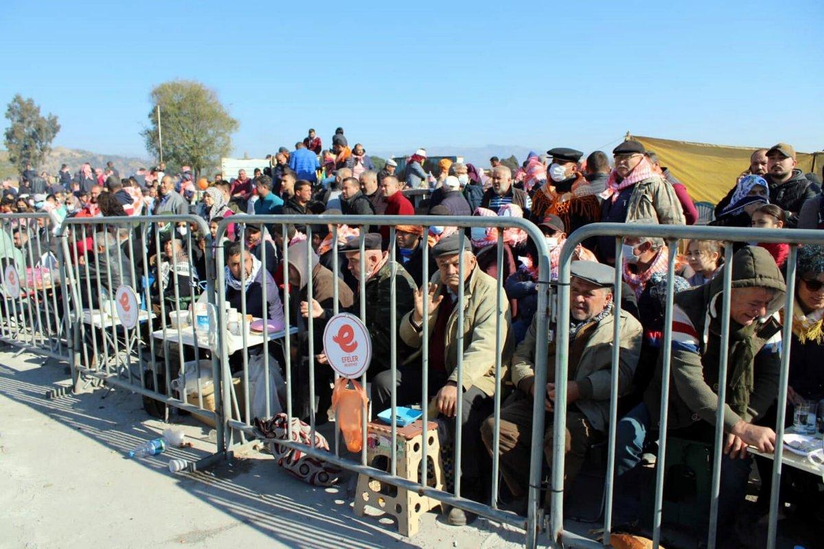Aydın'da 1 yılın ardından yeniden deve güreşleri başladı