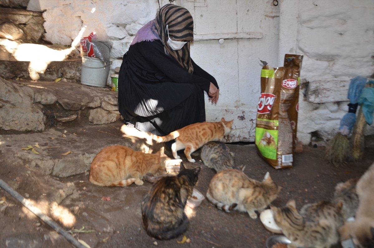 Muş'ta 8 yıldır sahiplendiği kedileri evinde besliyor