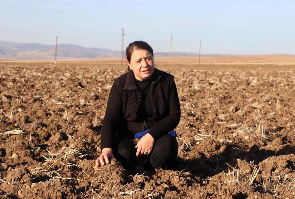 Afyonkarahisar'da kuraklık arpa ve buğday üretimini vurdu