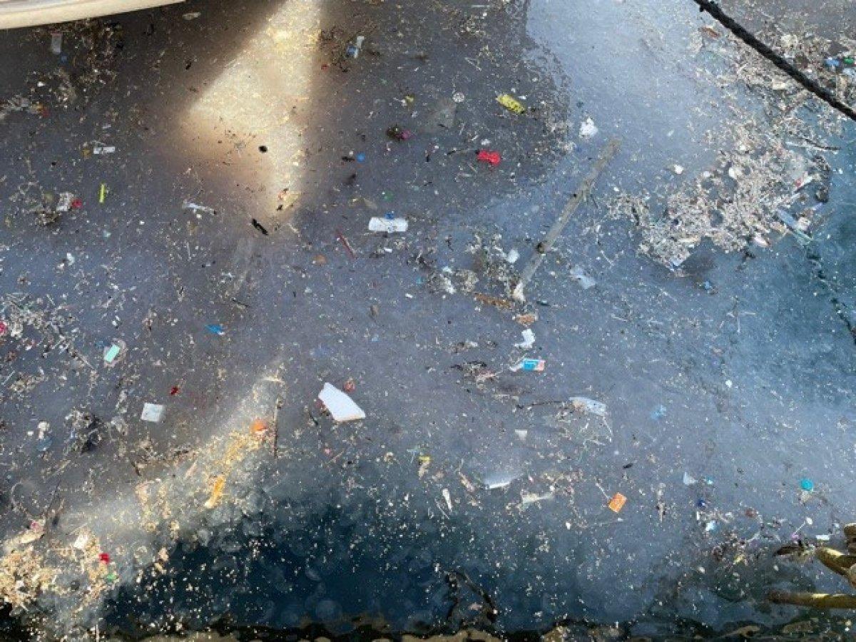 Arnavutköy sahili atıklar ve denizanalarıyla doldu