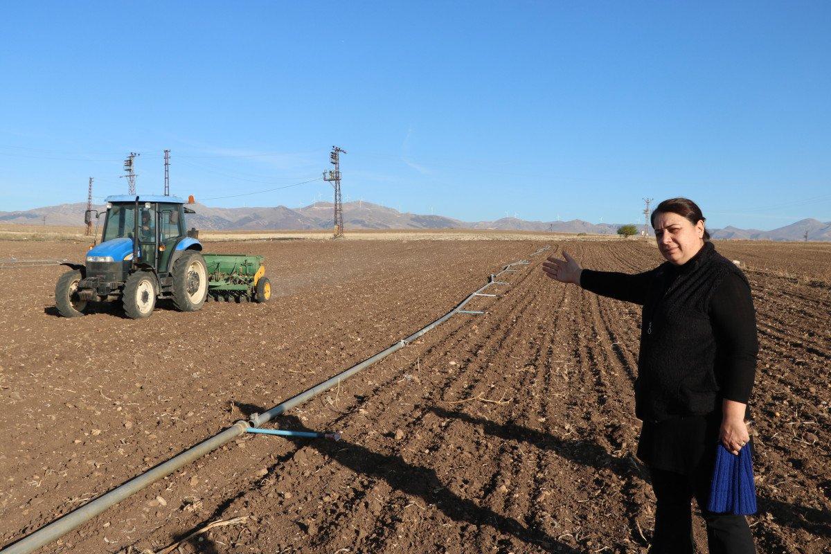 Afyonkarahisar'da kuraklık arpa ve buğday üretimini vurdu