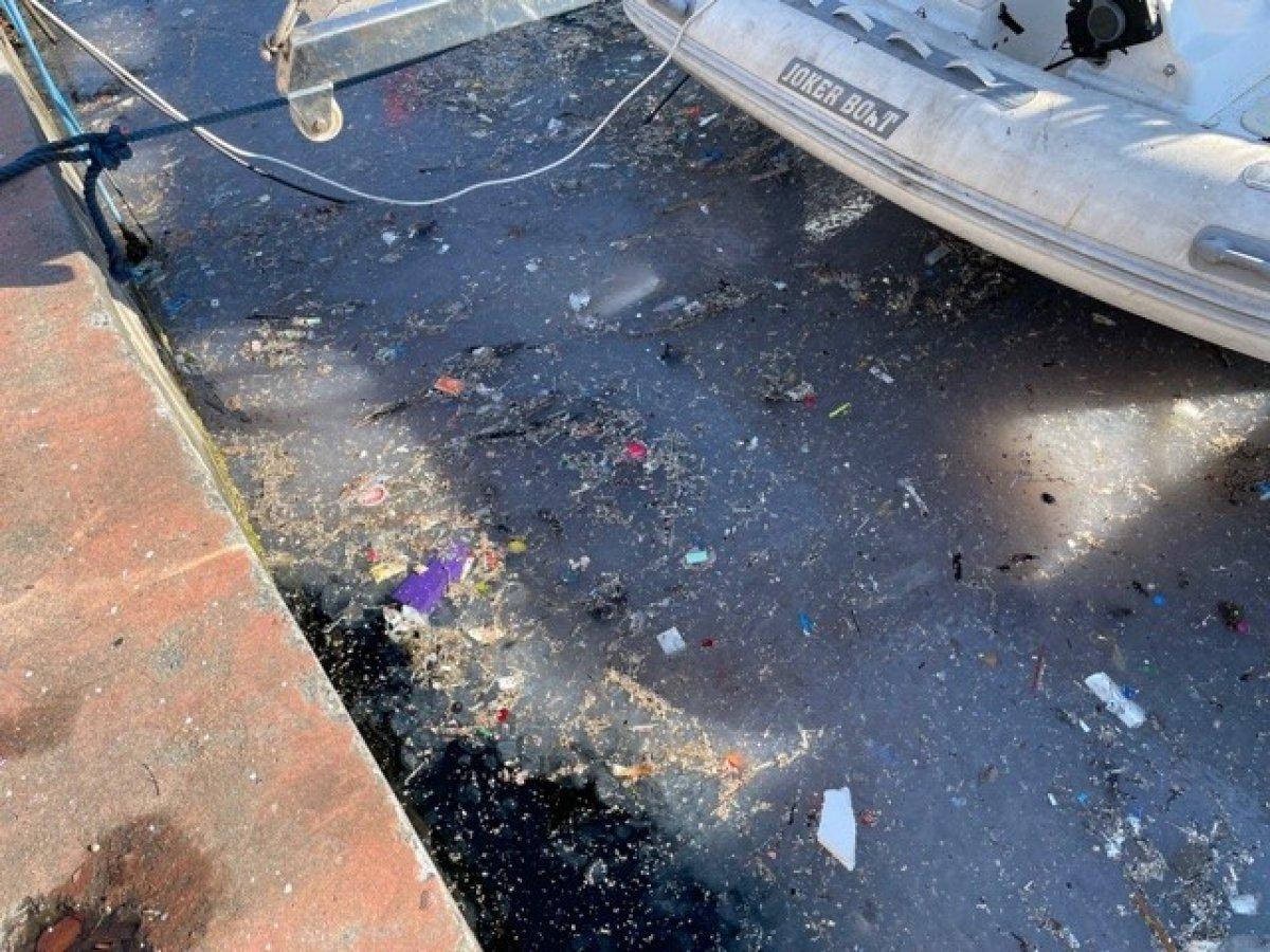 Arnavutköy sahili atıklar ve denizanalarıyla doldu