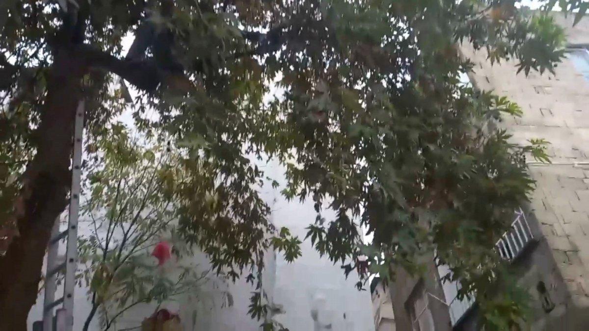 Şanlıurfalıların kedi kurtarma operasyonu