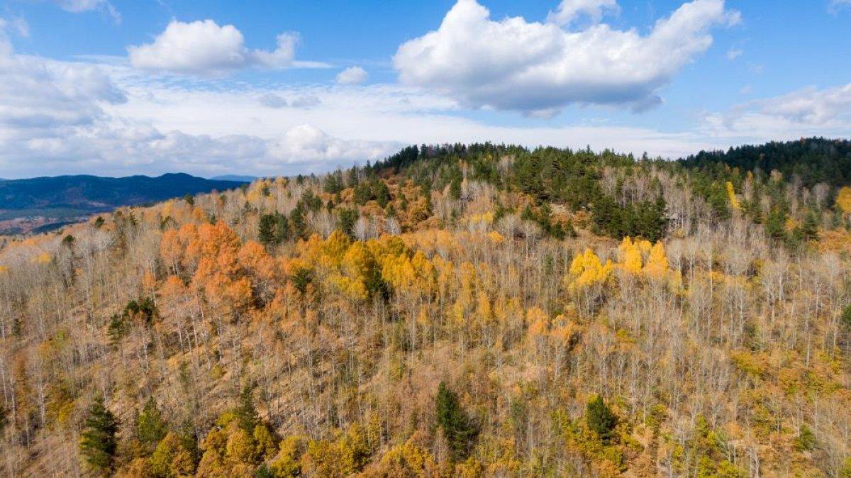 Ankara Işık Dağı'ndan sonbahar manzarası