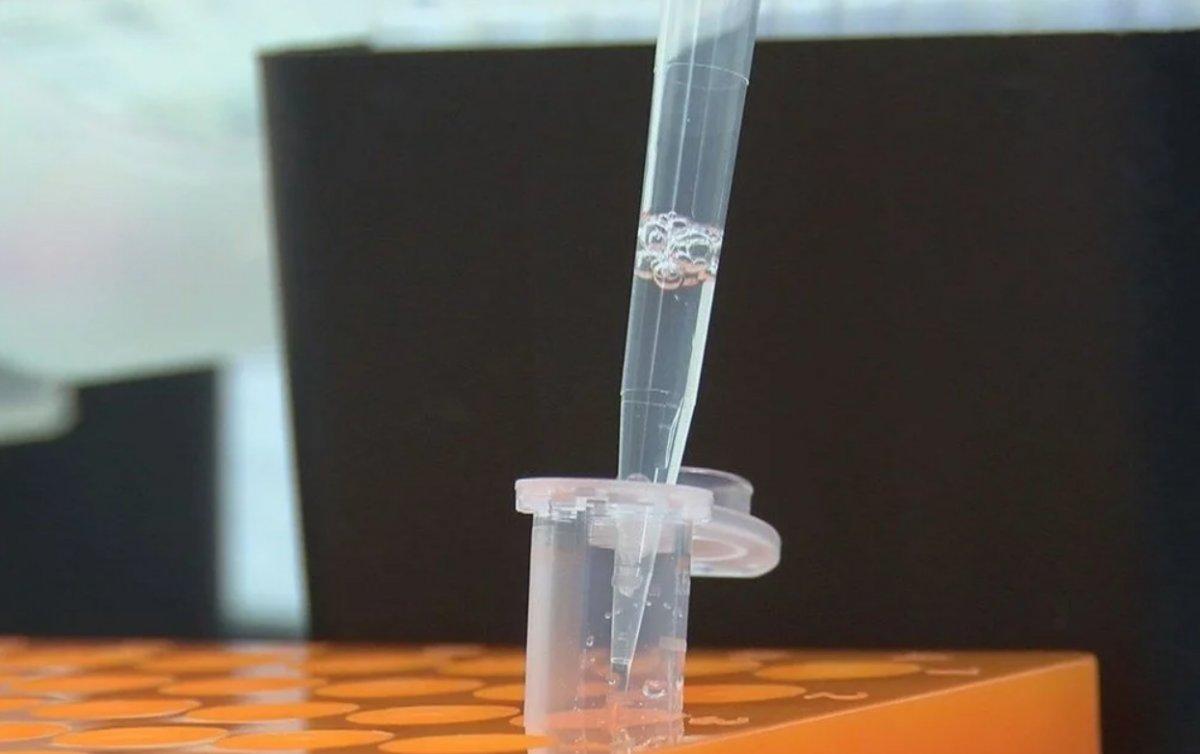 Yerli PCR kitinin doğruluk oranı yüzde 100'e yakın