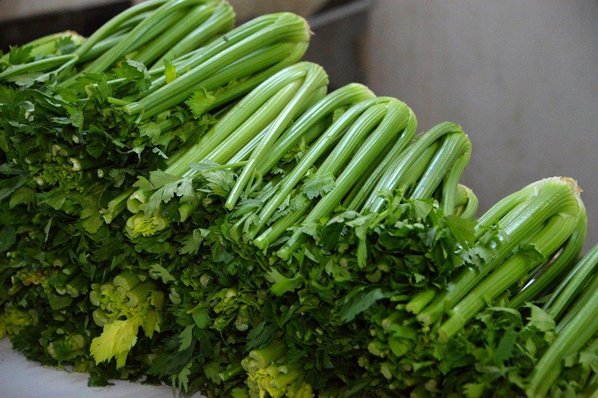 Demir ve folik kaynağı: Kereviz yapraklarını değerlendirin