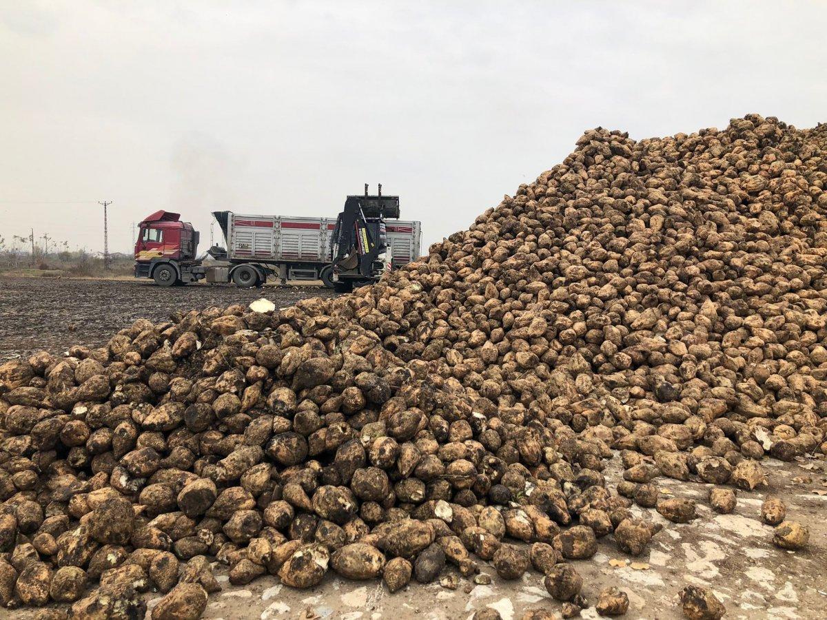 Bursa Ziraat Odaları Başkanı: Türkiye’de şeker krizi yok, bolluğu var