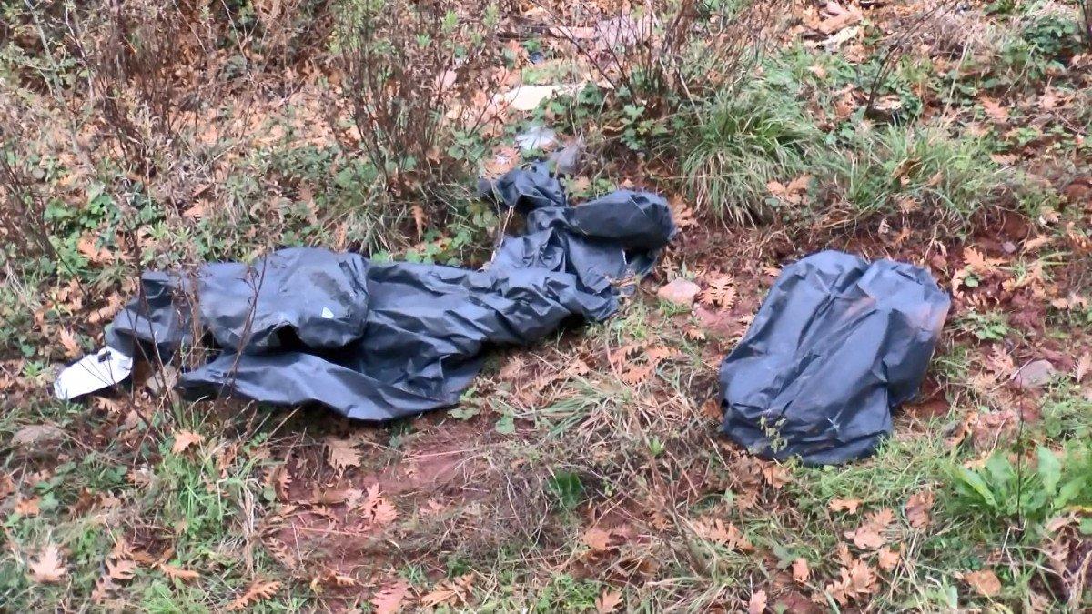 Sarıyer’de, ormanlık alanda kesilmiş atlar bulundu