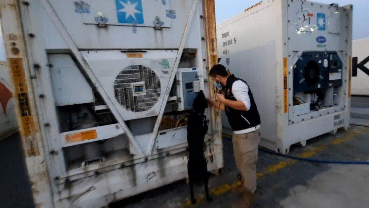 Mersin'de muz yüklü konteynerde 6 kilo 750 gram kokain yakalandı