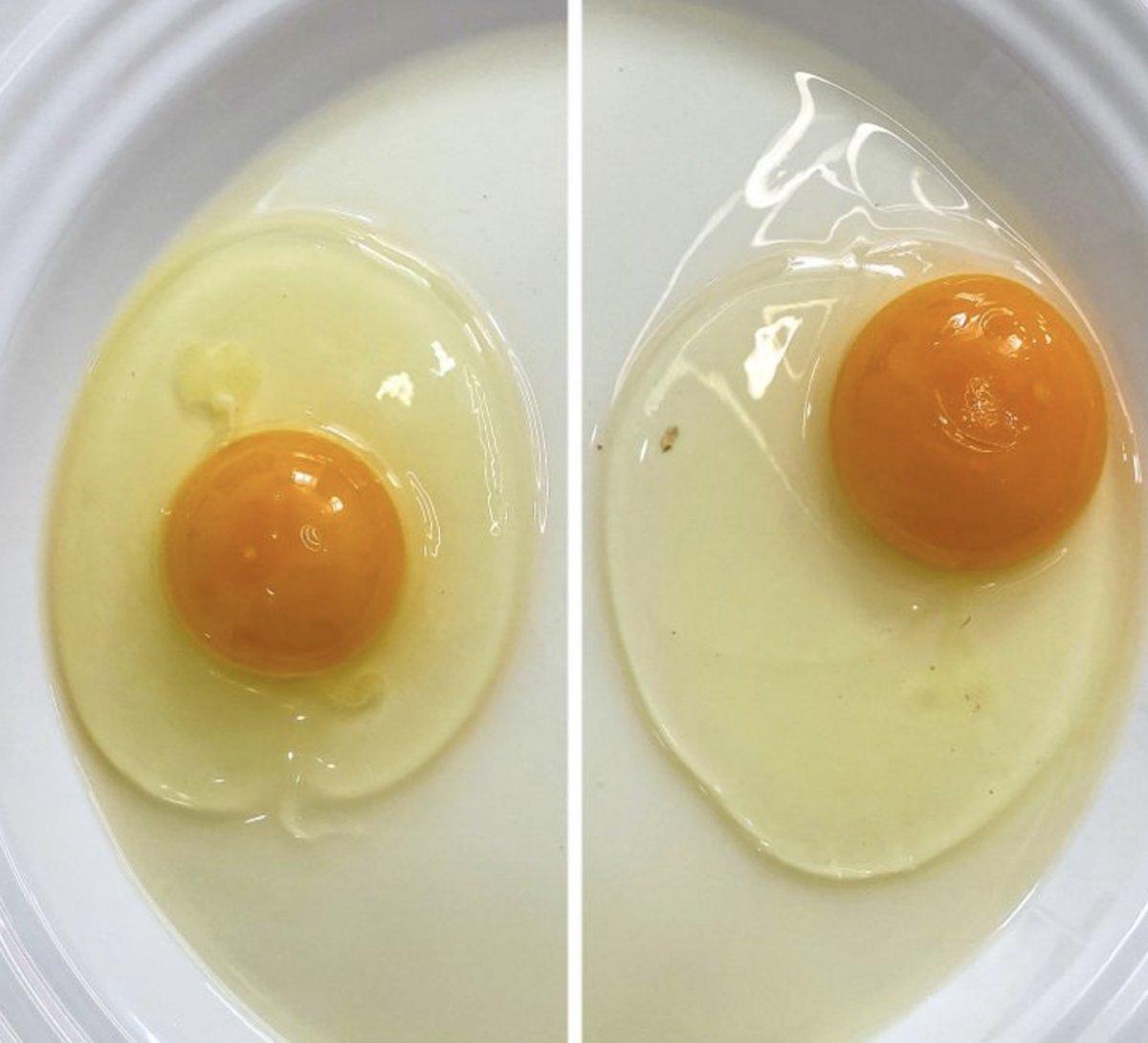 Besinlerin taze olup olmadığını anlamanız için 10 ipucu