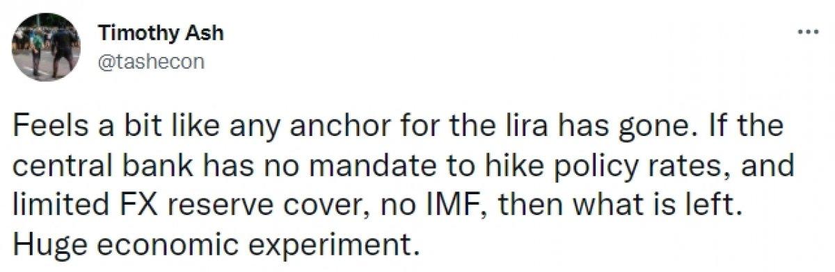 Ekonomist Timothy Ash'dan Türkiye'ye IMF ve dolar önerisi