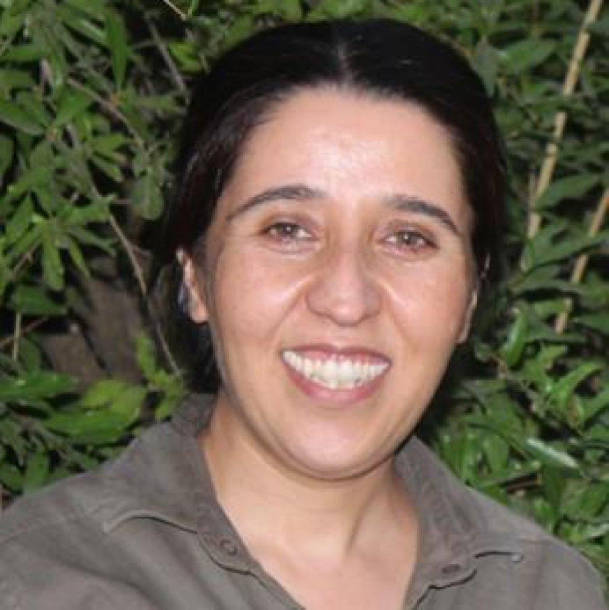 Bitlis kırsalında 6 terörist öldürüldü