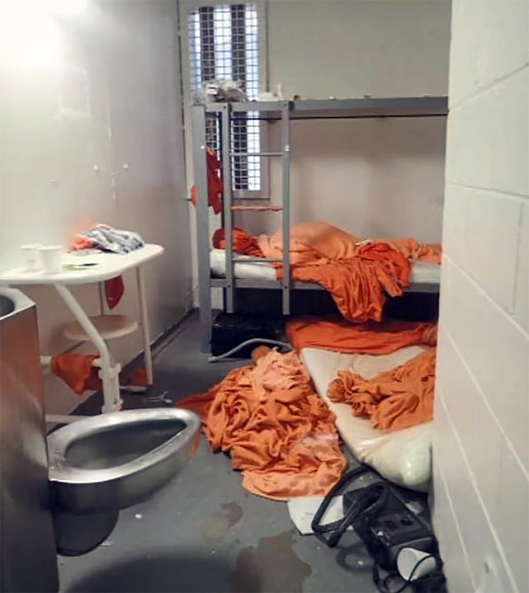 Jeffrey Epstein, intihar etmeden önce Karyna Shuliak ile görüştü